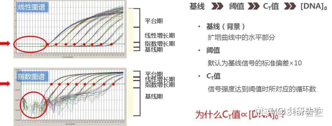 实时荧光定量PCR实验数据分析（超全教程） - 知乎
