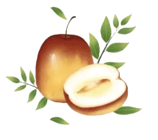 明明夏天吃 为什么要叫 冬枣 知乎