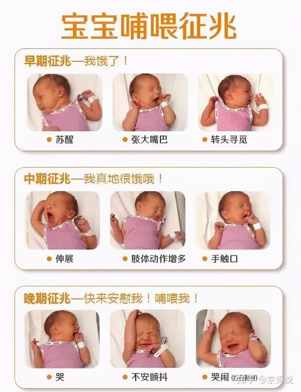 新生儿自带7种条件反射 半岁时若没消失 提示孩子大脑有问题 知乎