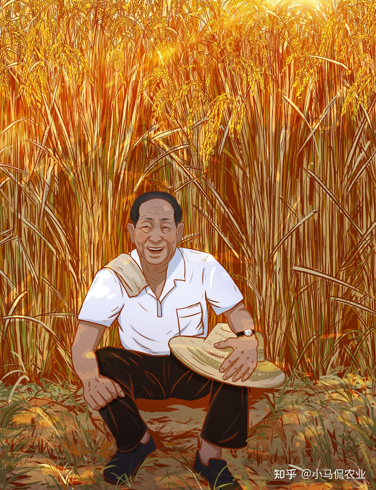 巨型稻之父图片