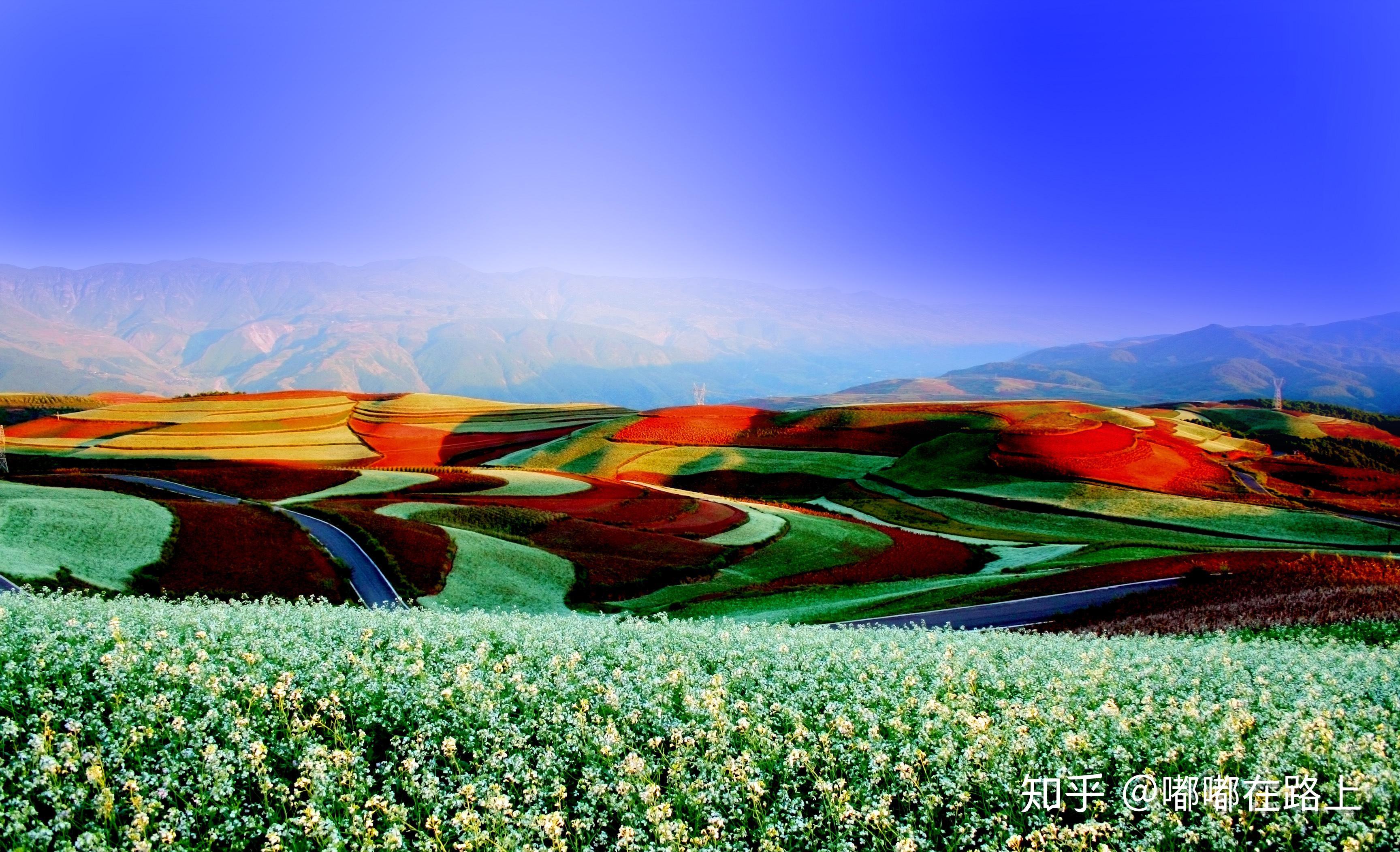 云南别致小众旅游打卡地推荐东川红土地