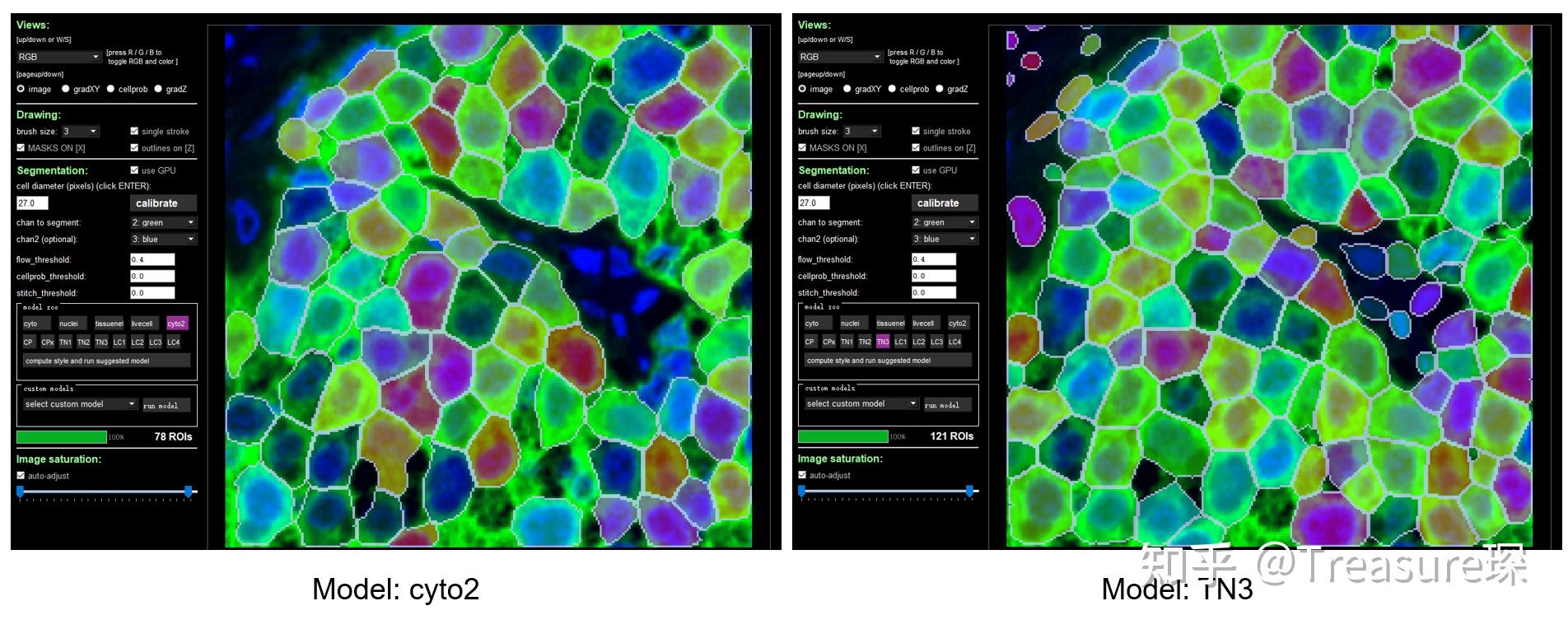 Cellpose 2 0 