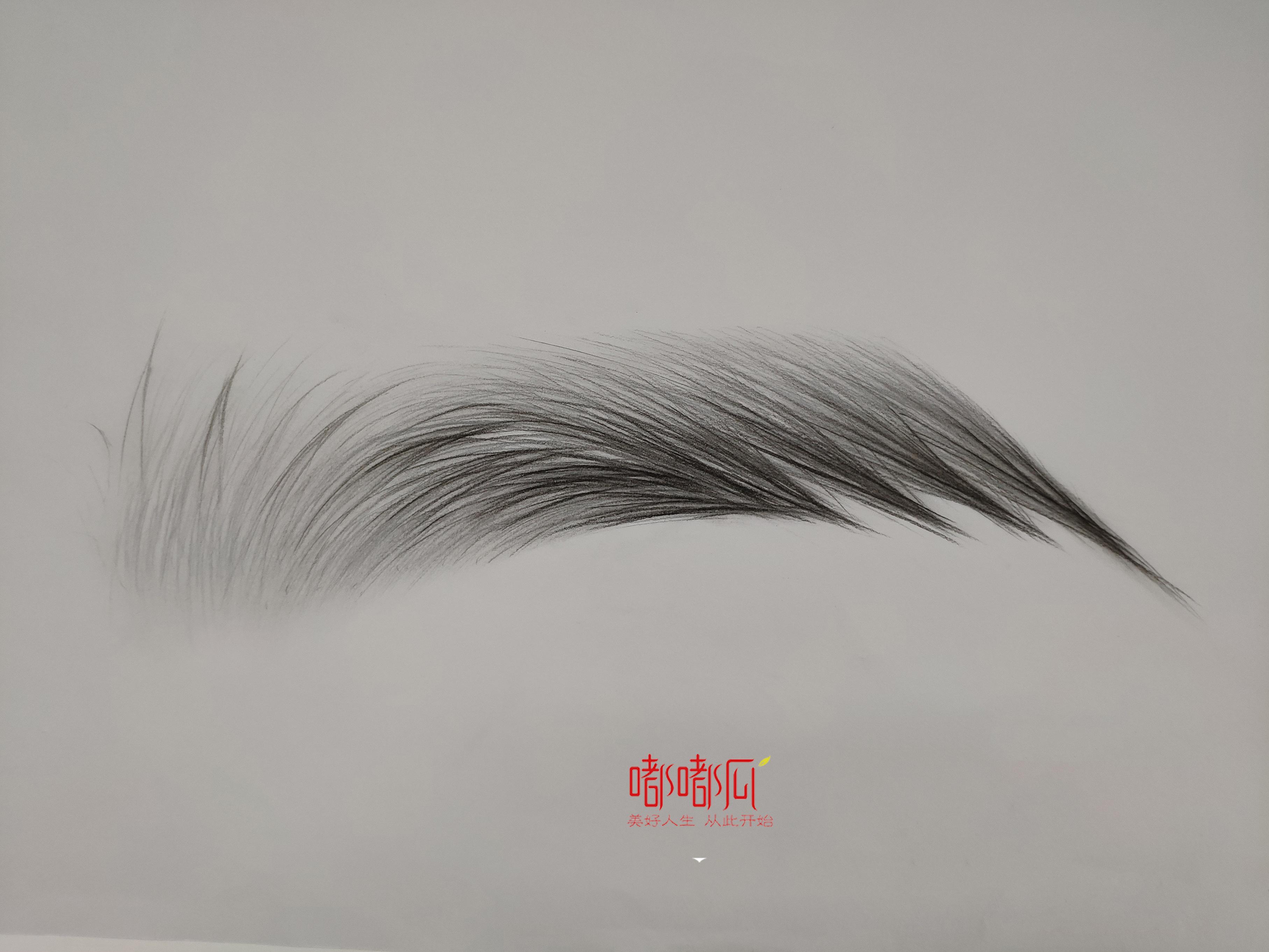 嘟嘟瓜纹绣教程独门秘籍避免这5点你的眉毛上色率至少提高80