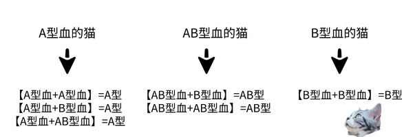 科学撸猫第十七课 喵星人的血型了解一下 血型会影响猫咪的性格吗 知乎