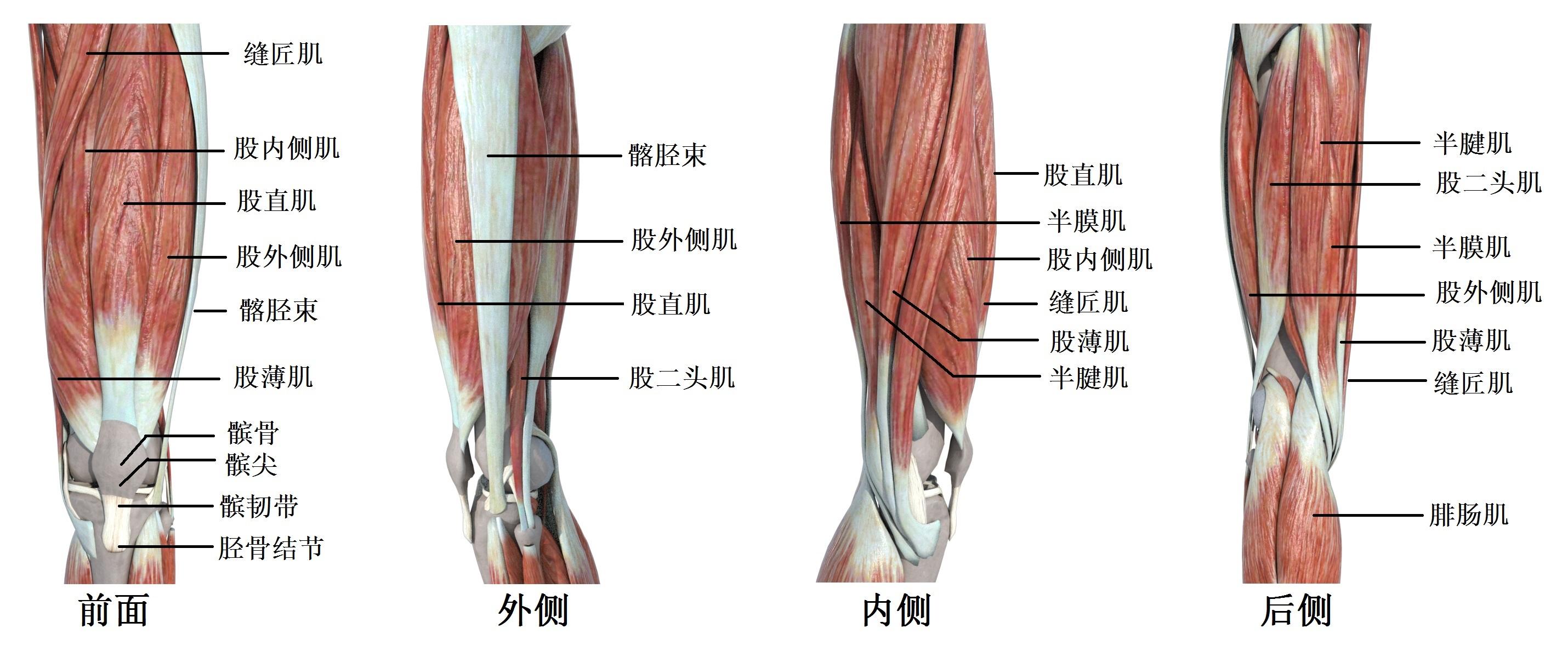 膝盖疼,怎么办?