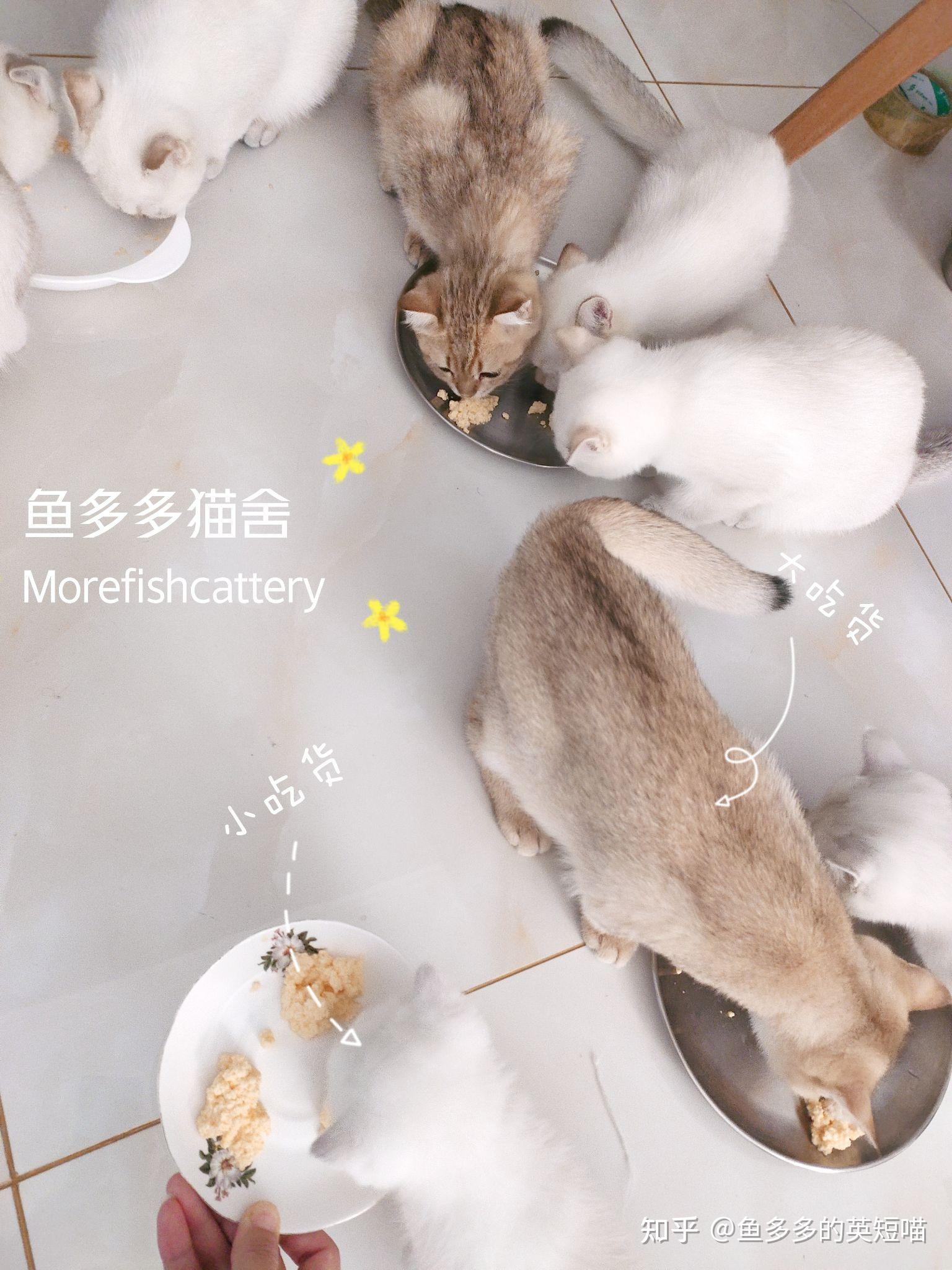 v2-a965f2db95a854b6c64c020eca87f9c1_r.jpg