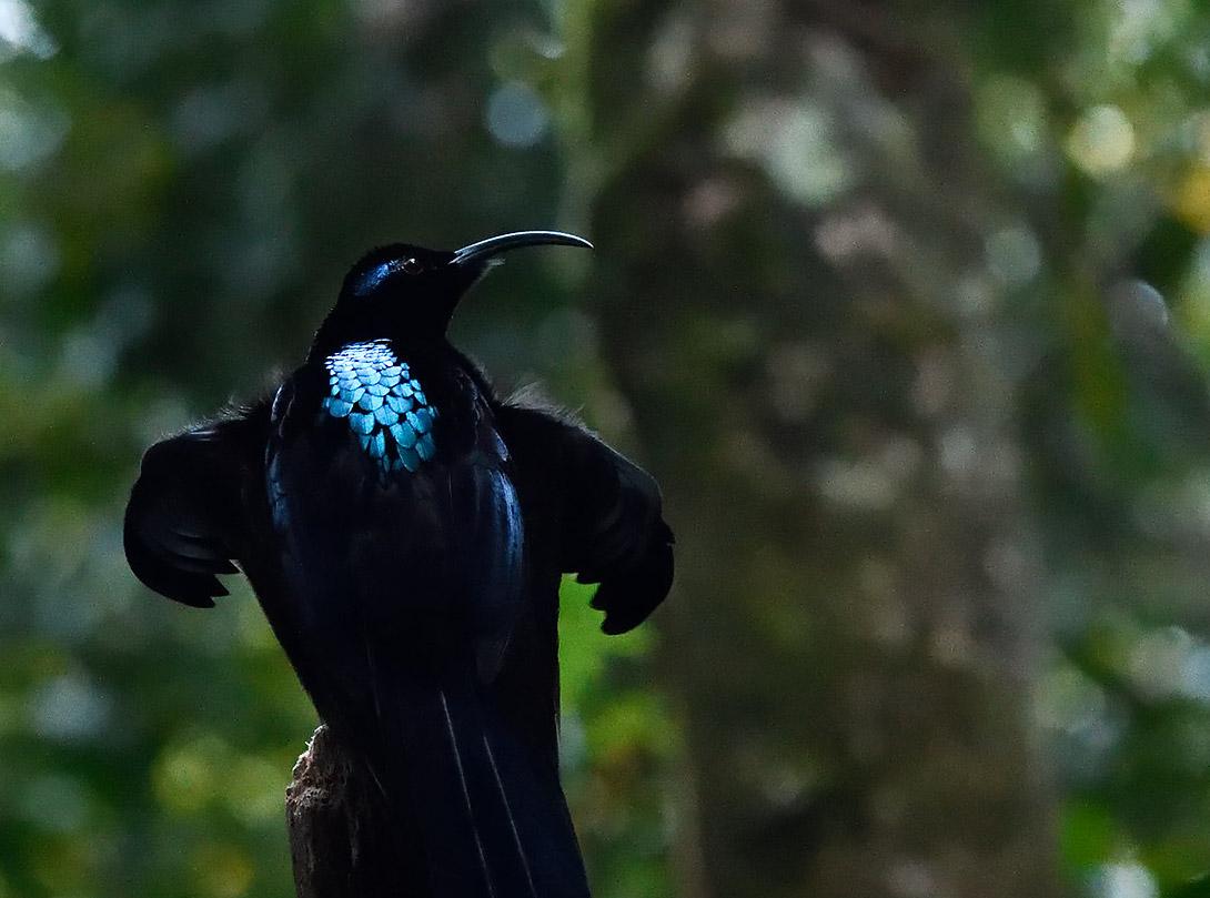 v2-a9762323063f1fb80354e28a4cd22392_1440w.jpg?source=172ae18b