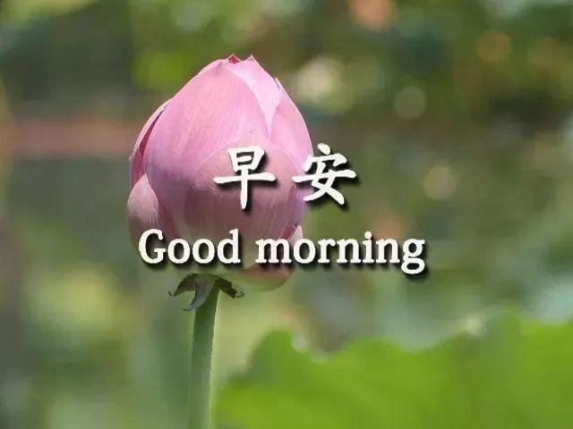 特漂亮的微信朋友圈早上好心情感悟 新版早上好祝福语图片