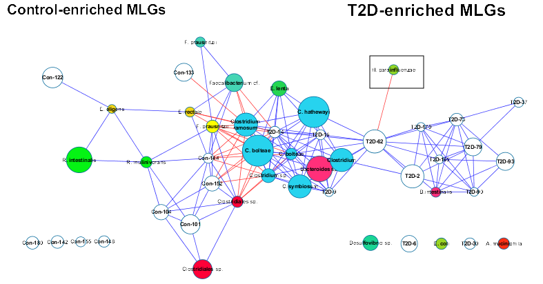 Demo of Cytoscape - 知乎