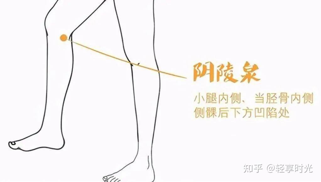 艾灸居家治疗腹泻的方法及取穴详图 - 知乎