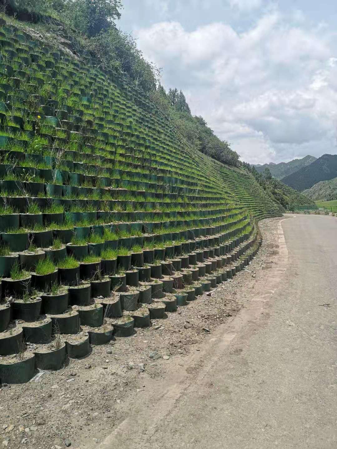 國家南北兩山項目甘肅天柱山祁連山土工格室護坡植草綠化