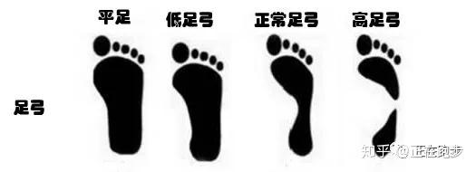 涨姿势 选跑鞋 记住这6点就够啦 私 奔 澎湃新闻 The Paper