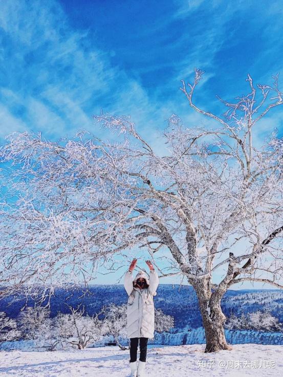 是不是每個南方人都喜歡看雪?