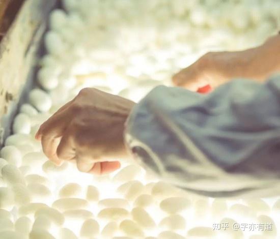 缫丝工艺 - 知乎