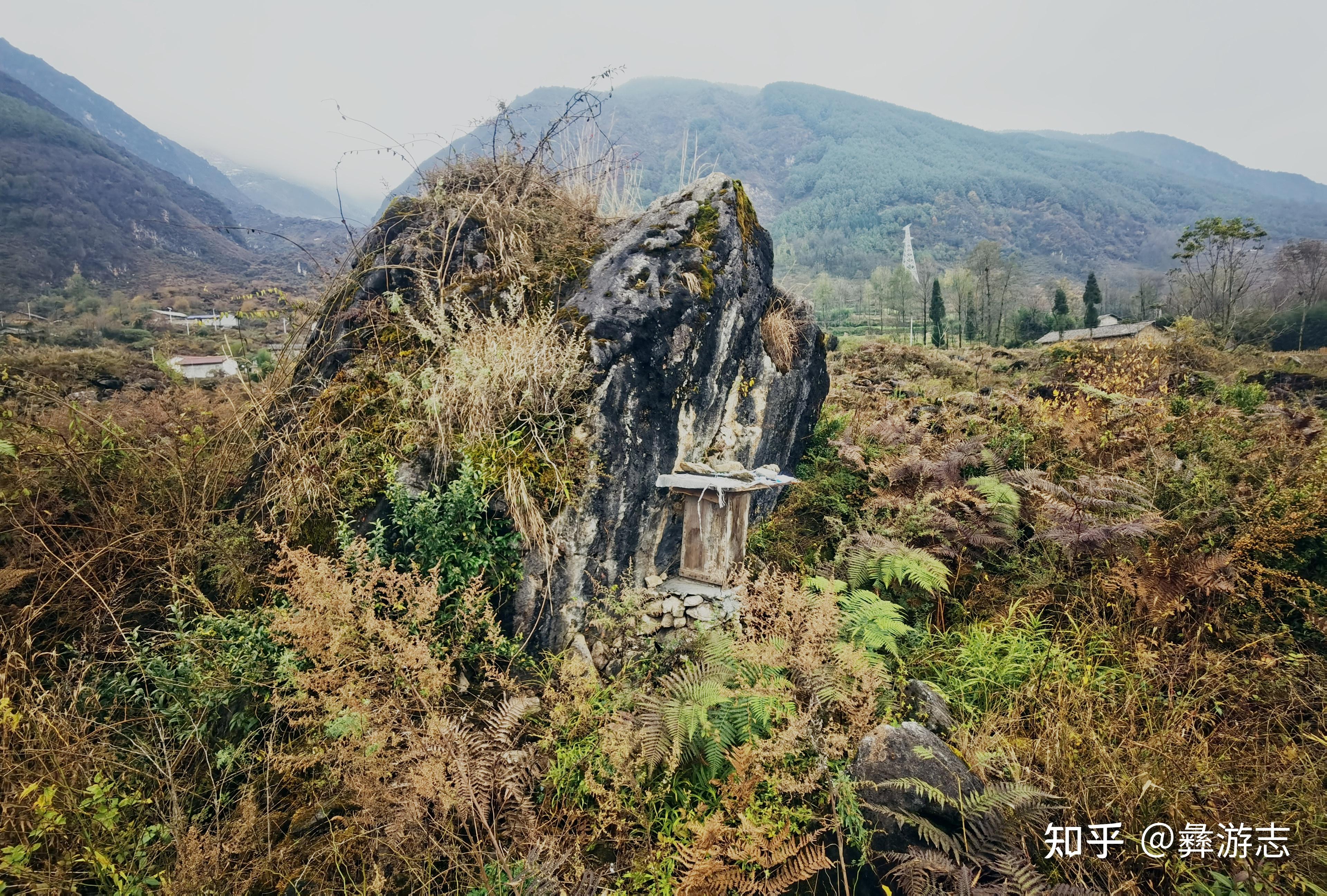 大凉山这里,牛鹿争斗,地动山摇,胆战心惊,一片石林由此诞生 - 知乎