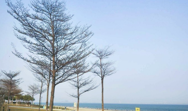 知乎上最全的厦门攻略:吃住行完保姆级攻略!三日游1200元搞定!五一就去这儿了!-厦门攻略自由行及路线