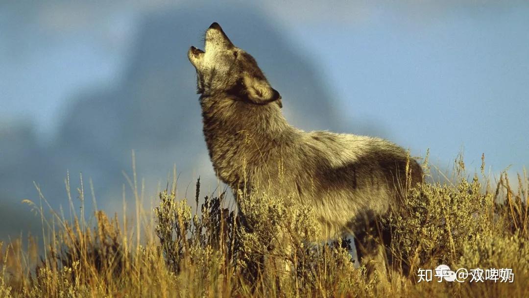 抖音中毒后,我得反思所浪费的时间。