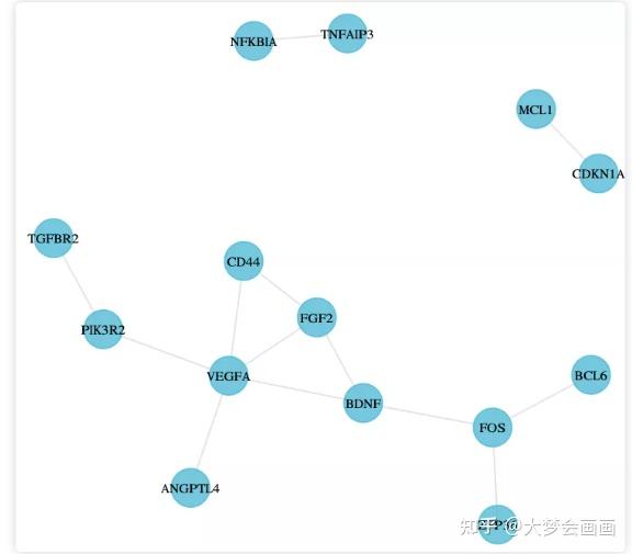 生信阅读笔记网络图