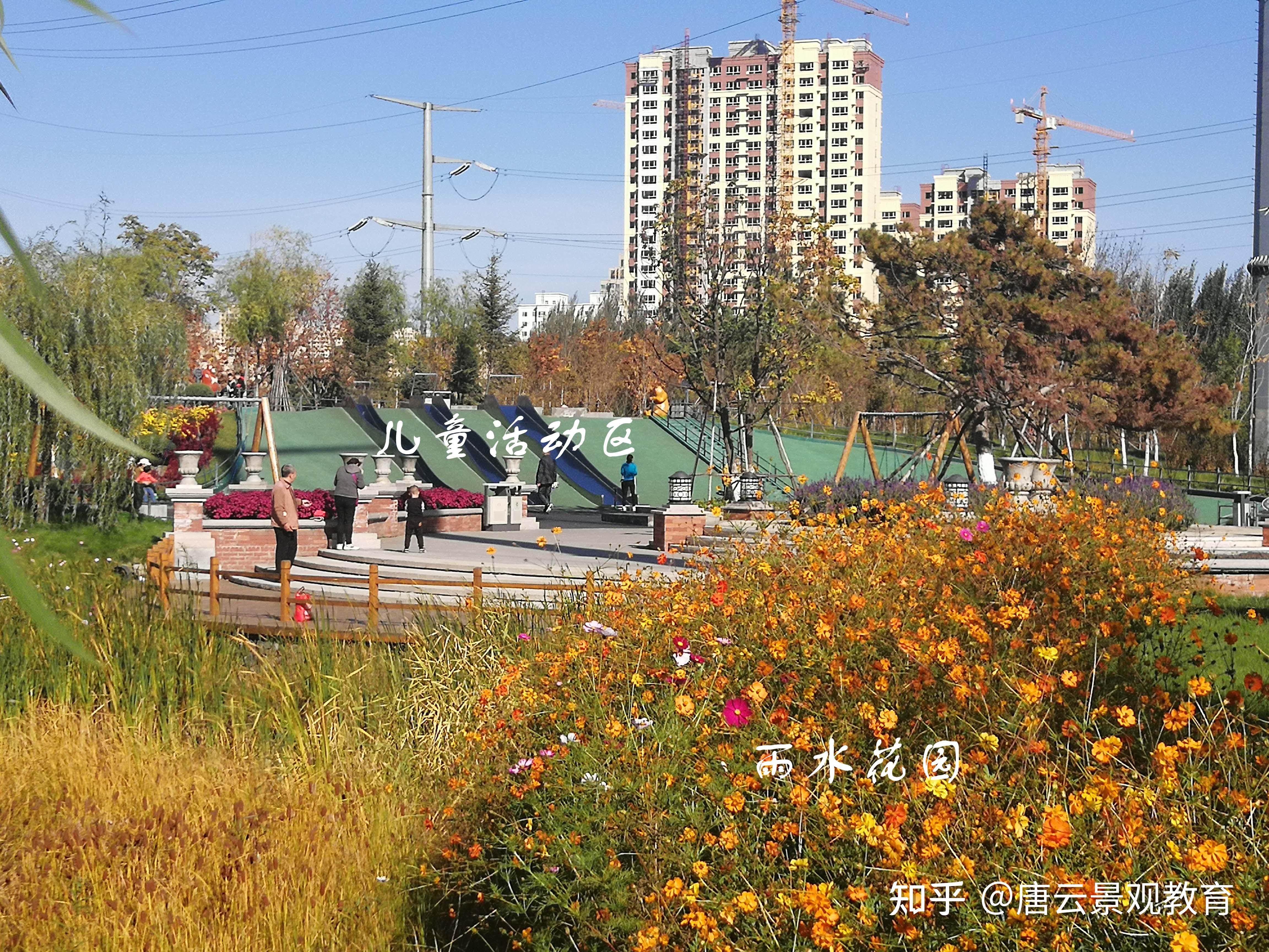 真題解析┃2021年東北林業大學風景園林專碩濱水景觀設計