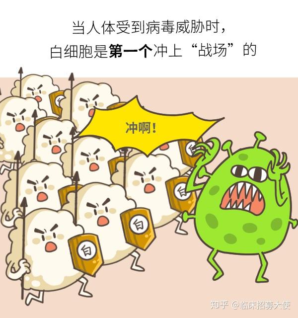 白血病是不治之症吗?