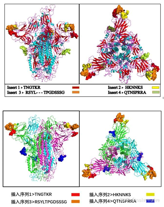 新型冠状病毒sarscov22019ncov与hiv有关