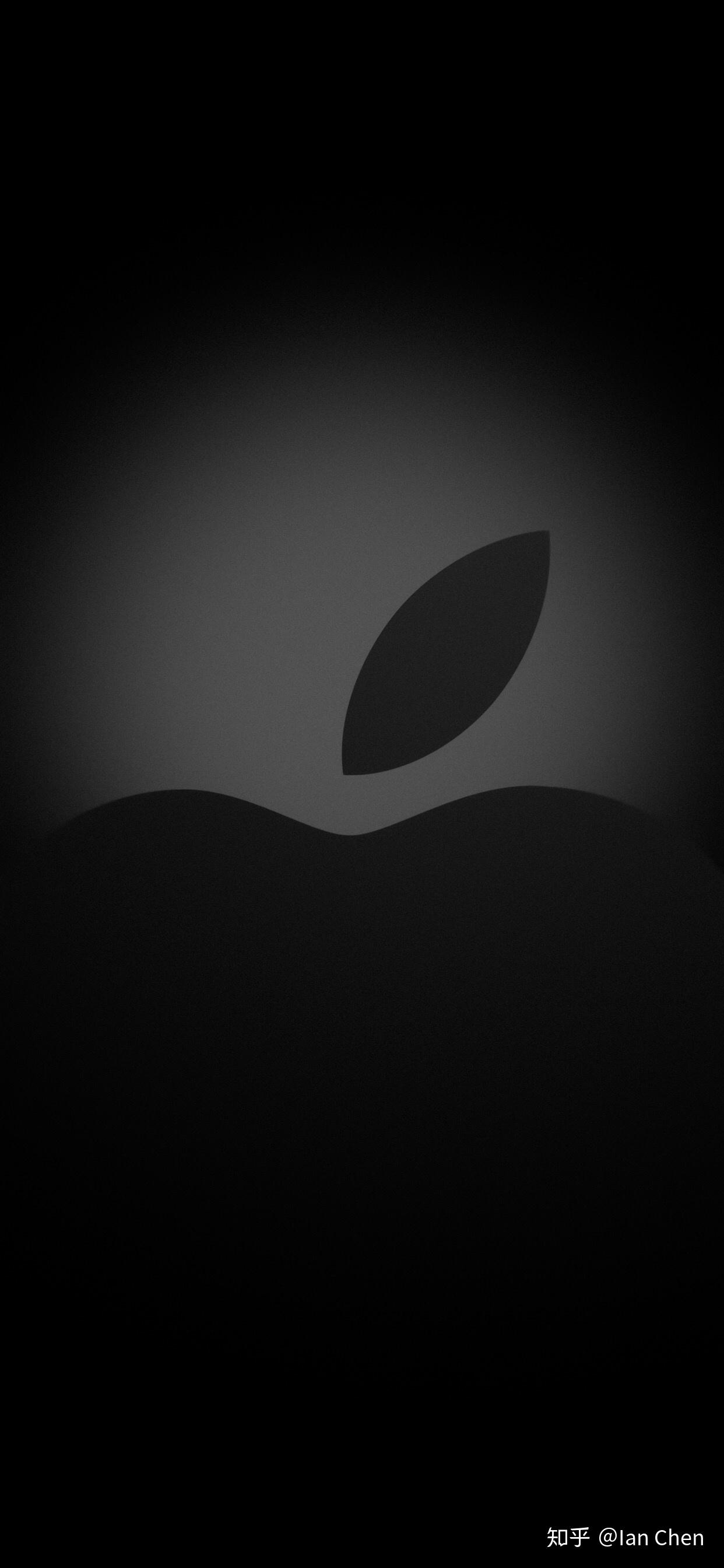 有没有ipadmini5能用的壁纸