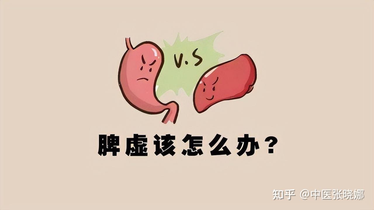 脾虚为何用归脾丸上火?医生教你分清四种脾虚,正确补脾 - 知乎