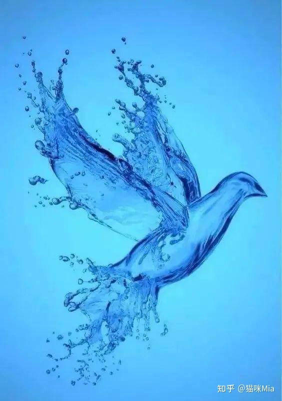 上善若水,水善利万物而不争.爱自己,应该如水一般.