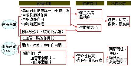 美卡拉明图片