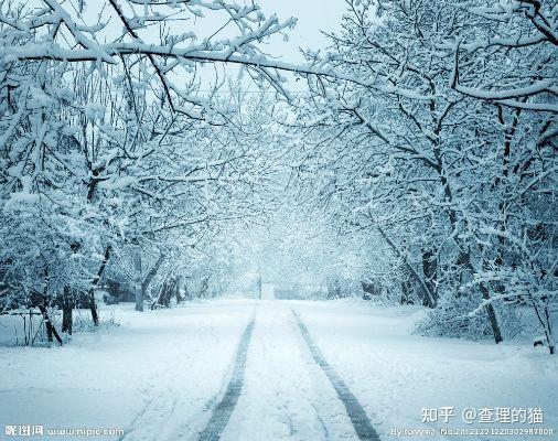 除夜雪背景图片