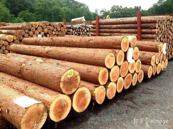 如何挑选实木家具——木材的弦切与径切 - 知乎