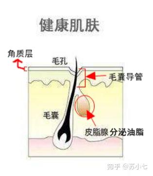 v2-aa4f440c4b0ab2b5774b99fa39b034f5_b.jpg