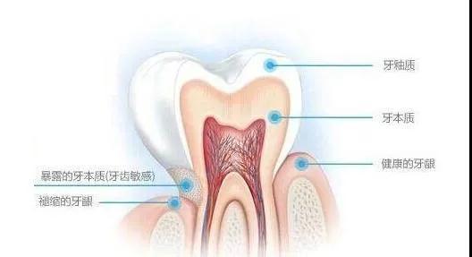 v2-aa57f4add0fe9c0c694b1ab06ca7a880_1440w.jpg?source=172ae18b
