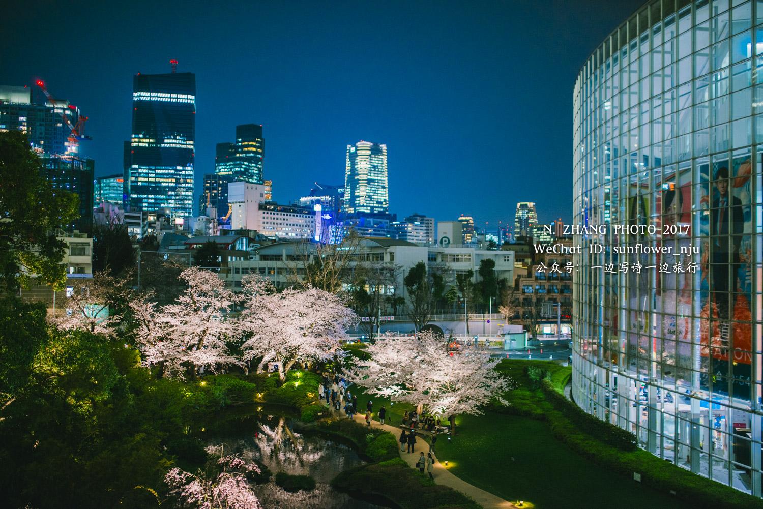 花见2017六本木毛利庭园