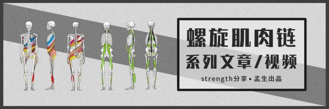 急性运动损伤怎么办?POLICE原则 - 知乎