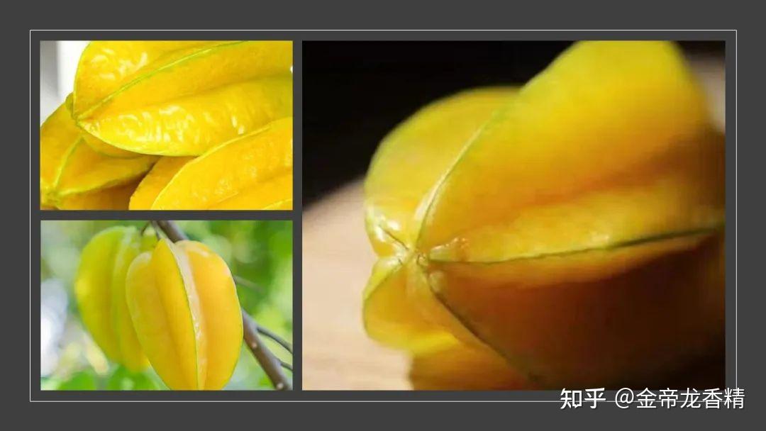香精与香料(171)—杨桃 - 知乎