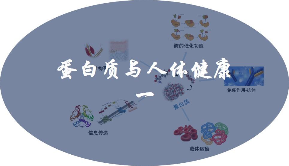 蛋白質與人體健康一:蛋白質來源與攝入量 - 知乎