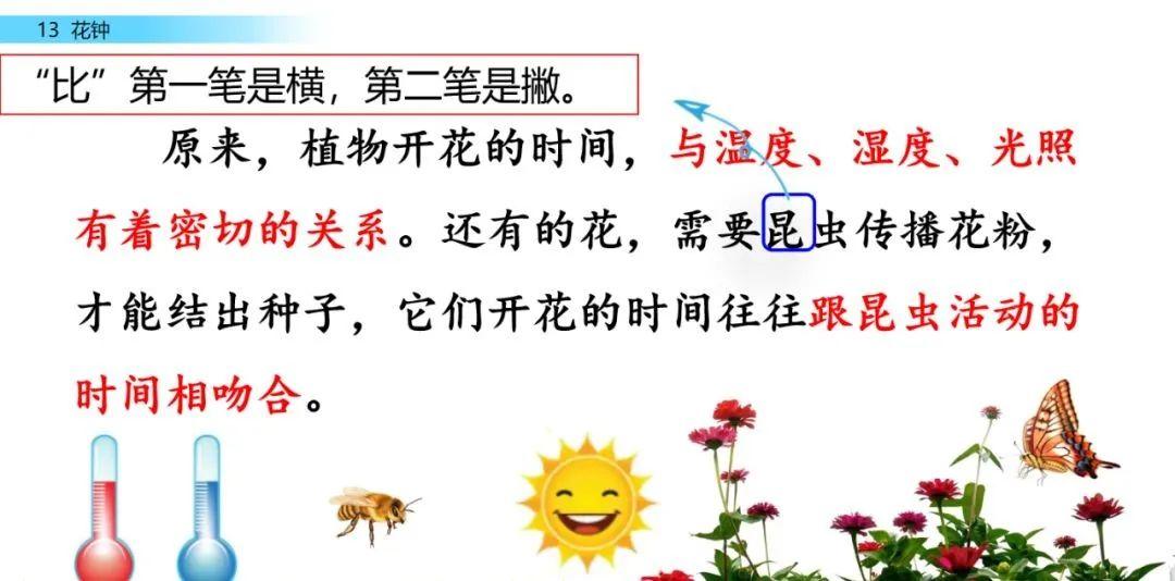 课文学习部编语文三年级下册第13课花钟图文解读教学视频知识点一课一