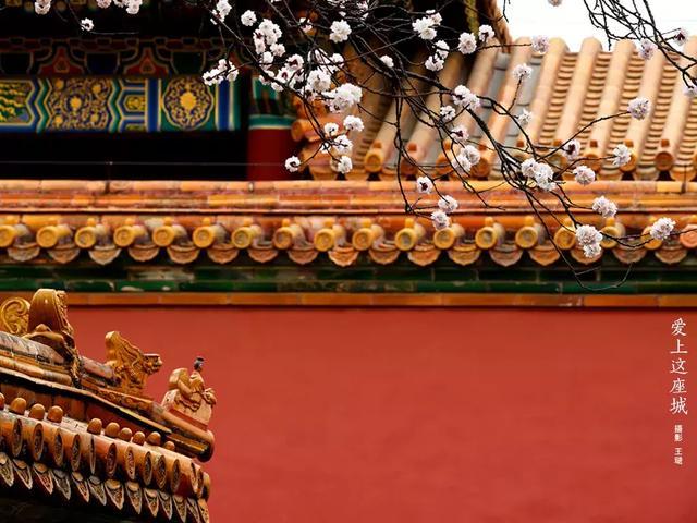 来聊聊宫廷建筑 - 知乎