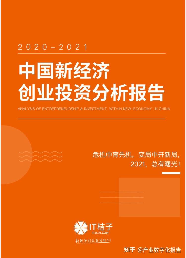 2021年中国新经济创业投资分析