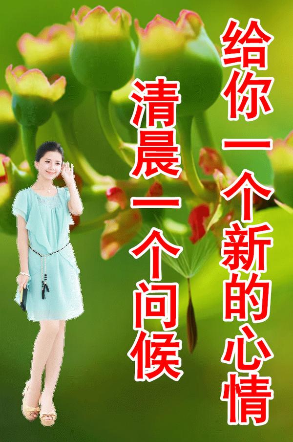 8张最新漂亮早上好图片鲜花带字带祝福语 2022最美春日早安问候祝福鲜花图片带字温馨