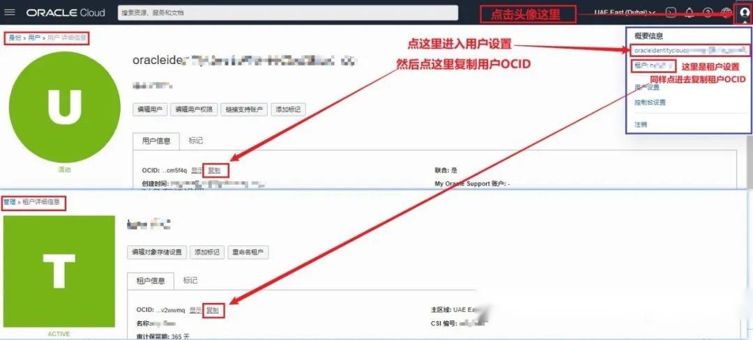  Oracle OCI ARM VPS 