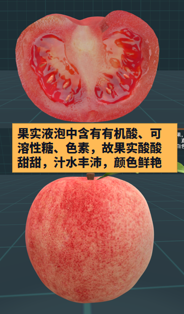 【高中生物】液泡知识大全，虚拟仿真资源自取！ - 知乎