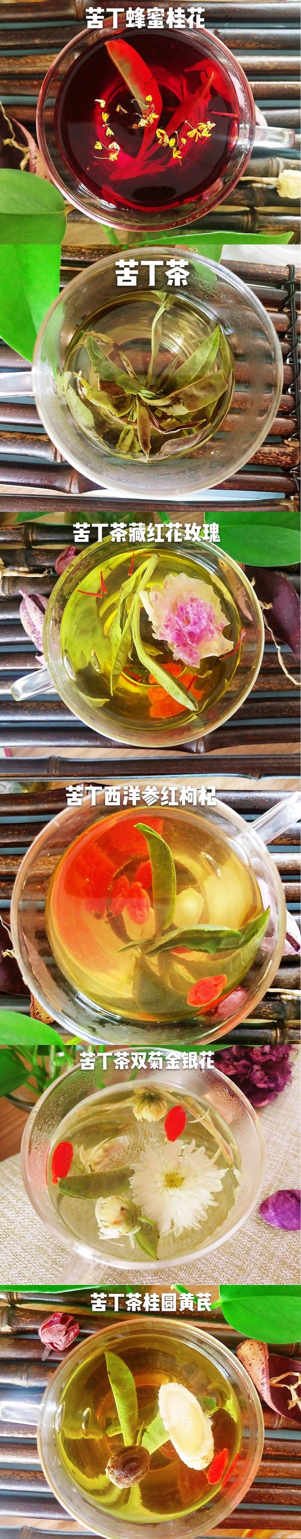 苦丁茶