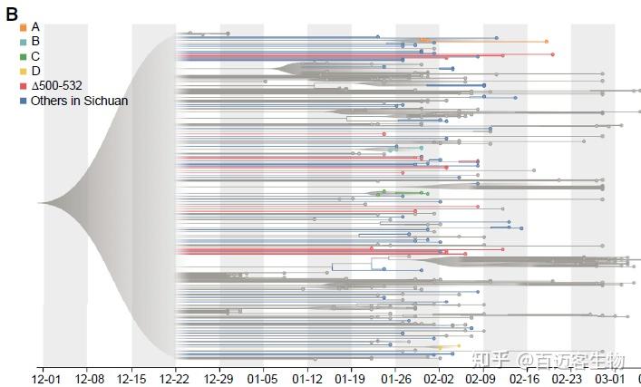 案例】四川大学华西医院利用ont测序平台进行新冠病毒全基因组测序