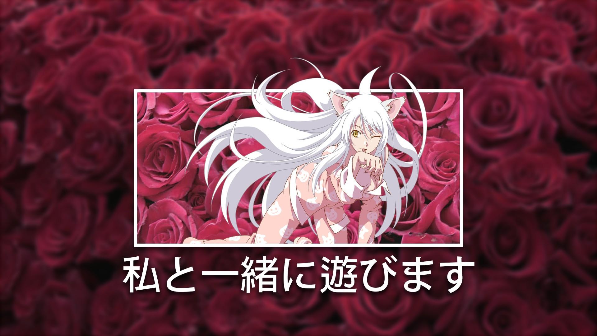 【化物语丨羽川翼】精选电脑壁纸丨高清壁纸丨超清壁纸丨手机动漫壁纸