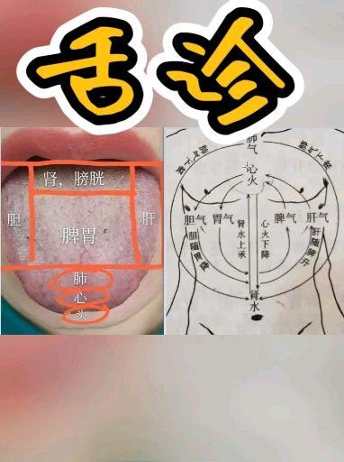 中医养生湿气调理肠胃脾虚湿热健脾补虚相关推荐 1:34地图舌裂纹舌