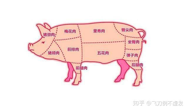 猪肉11部位分布及用途 - 知乎