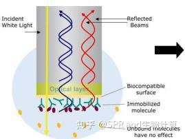 Fortebio Octect ForteBio Octet分子相互作用 - 知乎