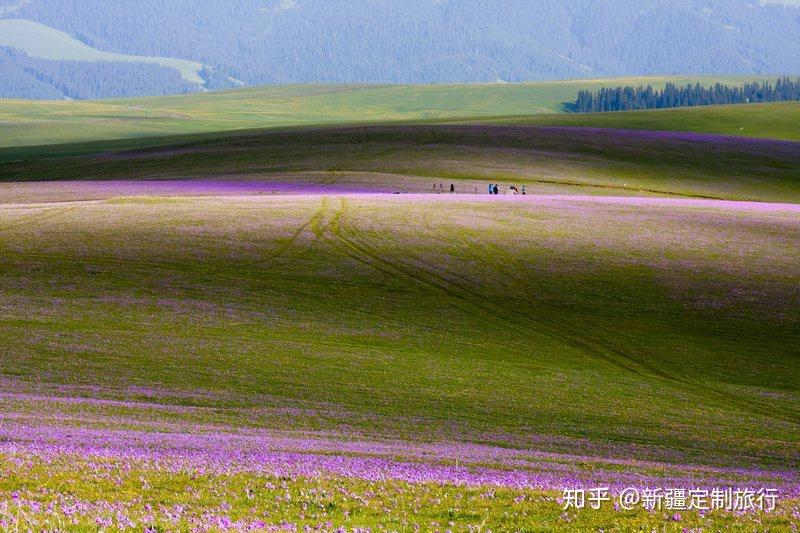 "喀拉峻"在哈萨克语中的意思是"黑色莽原", "喀拉峻"是哈萨克语,意思